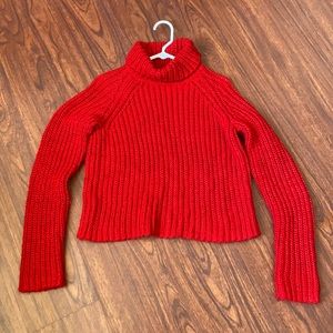 Arizona Red Turtle Neck Cropped Knit Sweater